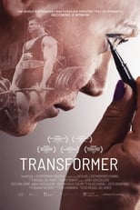 VER Transformer (2017) Online Gratis HD