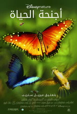 Wings of Life