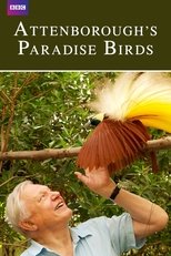 Poster for Attenborough's Paradise Birds 