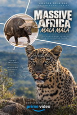 Massive Africa (2019)