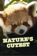 Poster for Nature's Cutest 