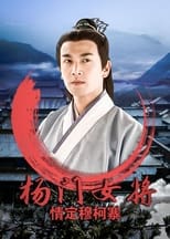 Poster for 杨门女将之情定穆柯寨