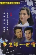 Poster for 半生缘一世情