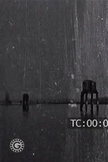 Venise - Promenade en gondole