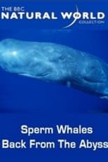 Poster for Sperm Whales: Back From the Abyss