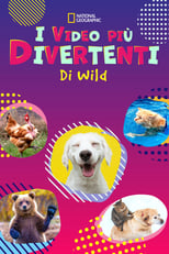 Poster di I video più divertenti di Wild