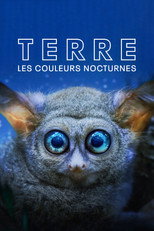 Terre : les couleurs nocturnes
