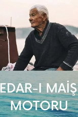 A Wave of Sea poster