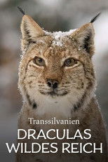 Transsilvanien, Draculas wildes Reich