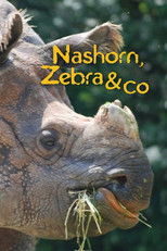 Nashorn, Zebra & Co. poster