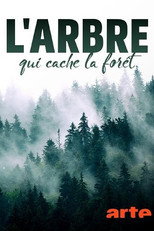 Of Trees and Forests: The Invisible World