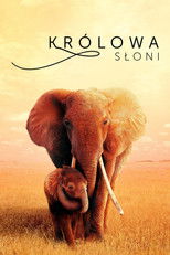 Królowa słoni