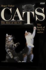 Poster for Cats