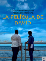 Poster for La película de David 