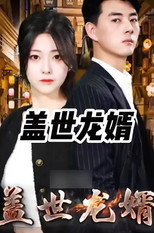 盖世龙婿 poster