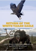 Poster for Return of the White-tailed Eagle 