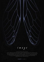 Imago