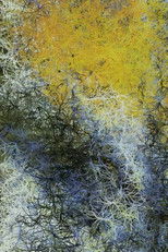 Nocturne no.248 poster