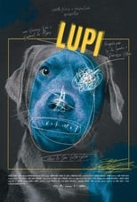 Poster for LUPI