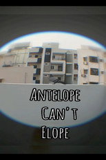 Antelope can't Elope poster