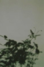 in the forest of shadows poster