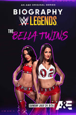 Poster for Biography: The Bella Twins 