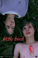 Poster for Little Bird