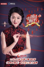 中国式相亲 poster