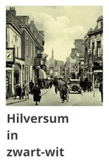 Hilversum in Black and White poster