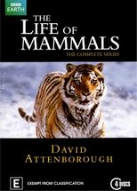 EN - The Life of Mammals (GB)