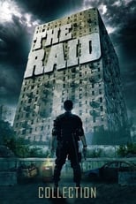 The Raid Collection