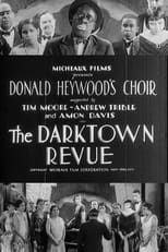 The Dark Town Revue (1931)