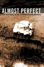 Poster for Almost Perfect 
