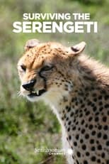 Poster for Surviving the Serengeti