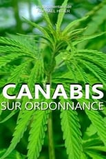 Poster for Cannabis sur ordonnance