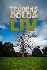 Trädens dolda liv poster