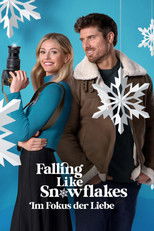 Falling Like Snowflakes - Im Fokus der Liebe