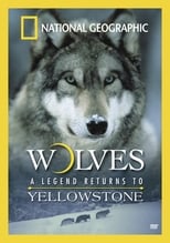 Poster for Wolves: A Legend Returns to Yellowstone 