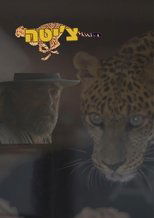 Cheetah (2024)