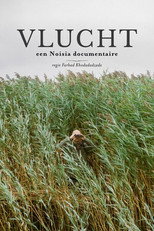 Vlucht