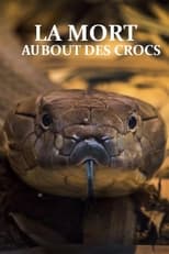 FR - La mort au bout des crocs