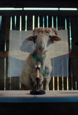 Sheep poster