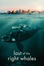 Last of the Right Whales (2021)