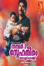 No: 1 Snehatheeram Banglore North (1995)