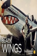 Black Wings (2012)