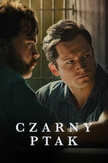 Czarny ptak