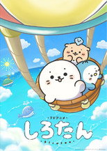 しろたん