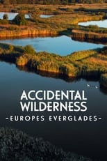 Poster for The Accidental Wilderness: Europe's Everglades