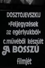 Poster for A bosszú 