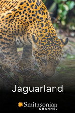 Jaguarland (2018)